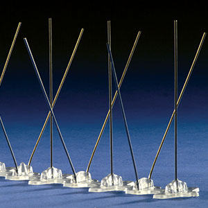 Bird Flite spikes