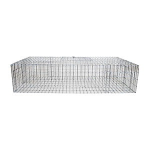 Pigeon trap