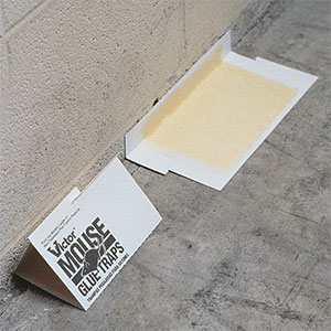 Victor Holdfast glue boards