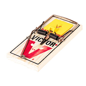 Victor M9 rat pro trap