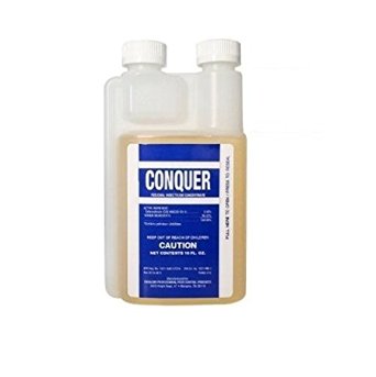 Conquer bottle