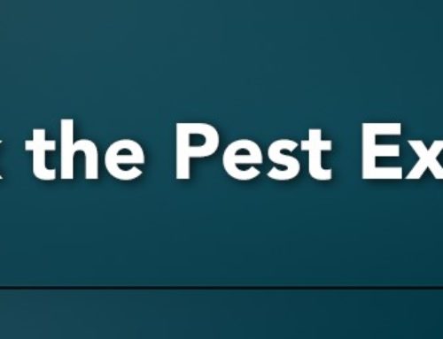 Answering Your Most Asked Questions: Ask the Pest Experts  